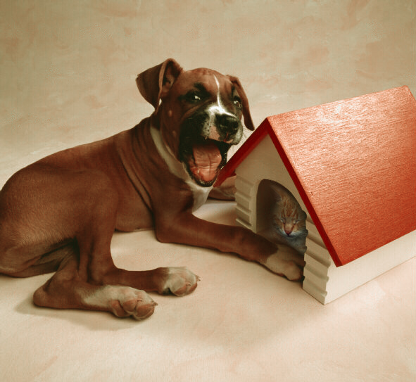 Photoshop-Design von geodesign für DesignCrowd (Community Contests) | Design #9143789