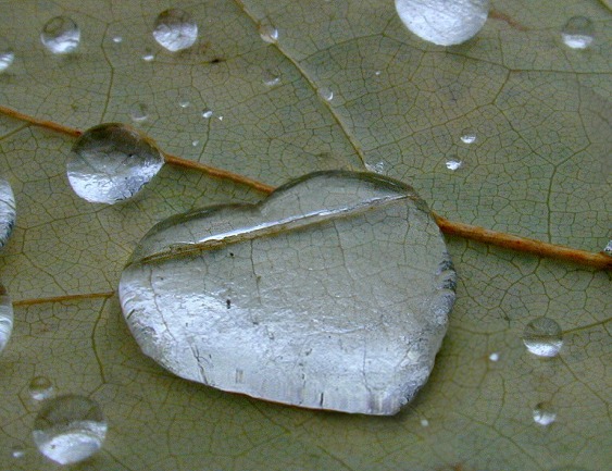 Design Photoshop par Zombic pour DesignCrowd (Community Contests) | Design #9141491