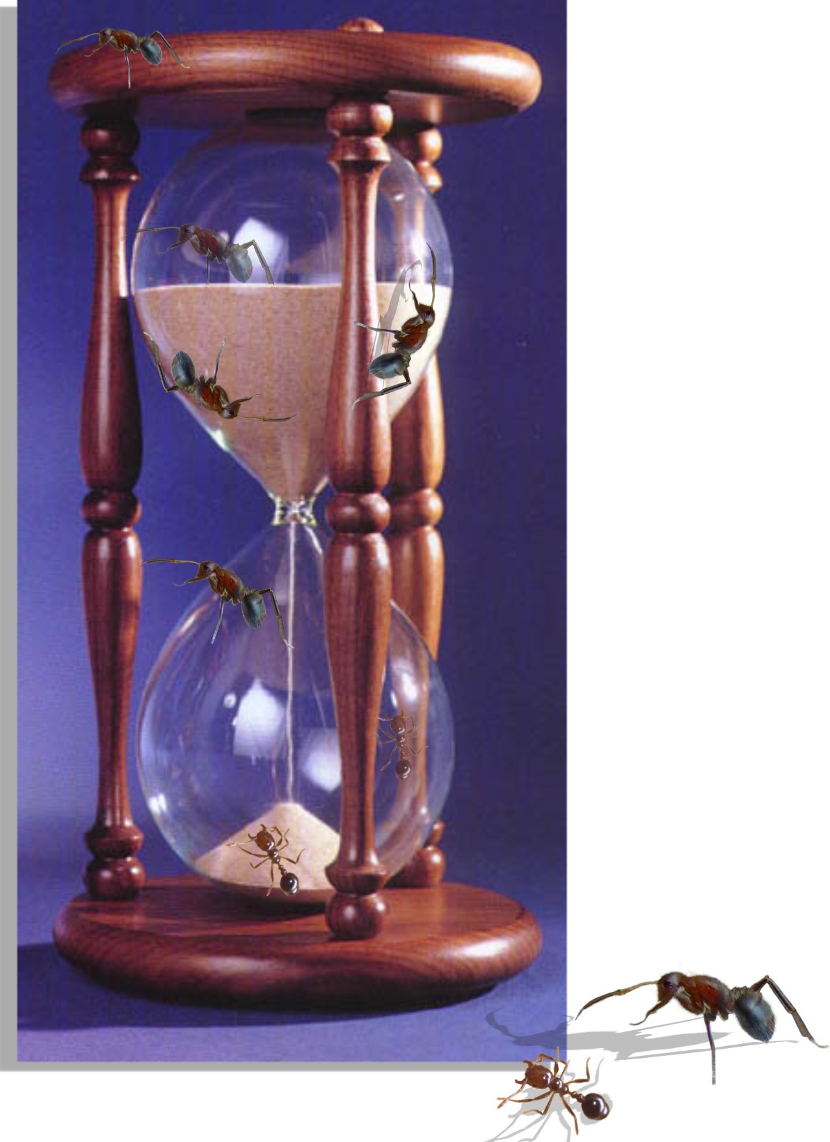 Photoshop-Design von Nana für DesignCrowd (Community Contests) | Design #9143741