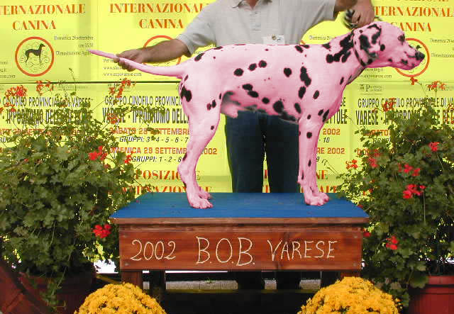 Photoshop Design by iivanov for DesignCrowd (Community Contests) | Design #9128397