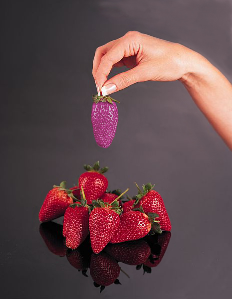 Design Photoshop par Trinity-of-One pour DesignCrowd (Community Contests) | Design #9128365