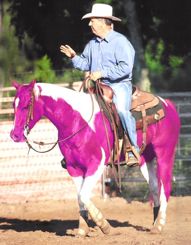 Photoshop Design by Garsaelon for DesignCrowd (Community Contests) | Design #9128461