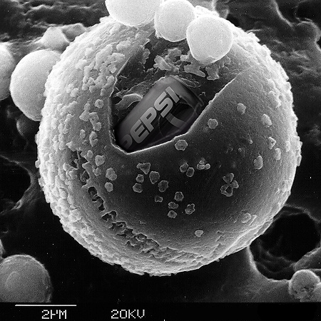 Photoshop Design by maxell for DesignCrowd (Community Contests) | Design #9141643