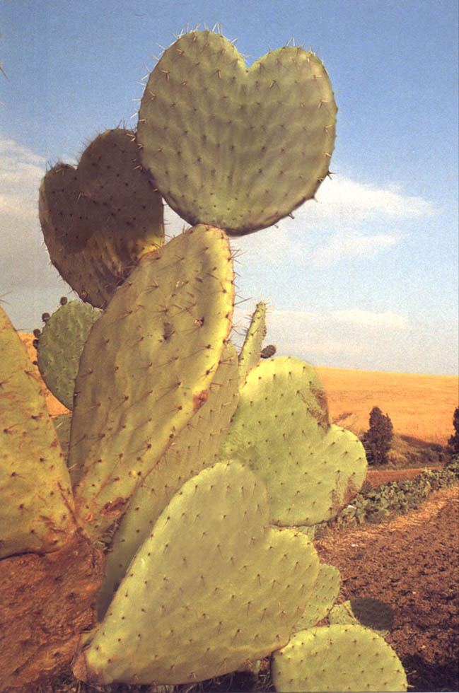 Photoshop-Design von hipnoart für DesignCrowd (Community Contests) | Design #9141514