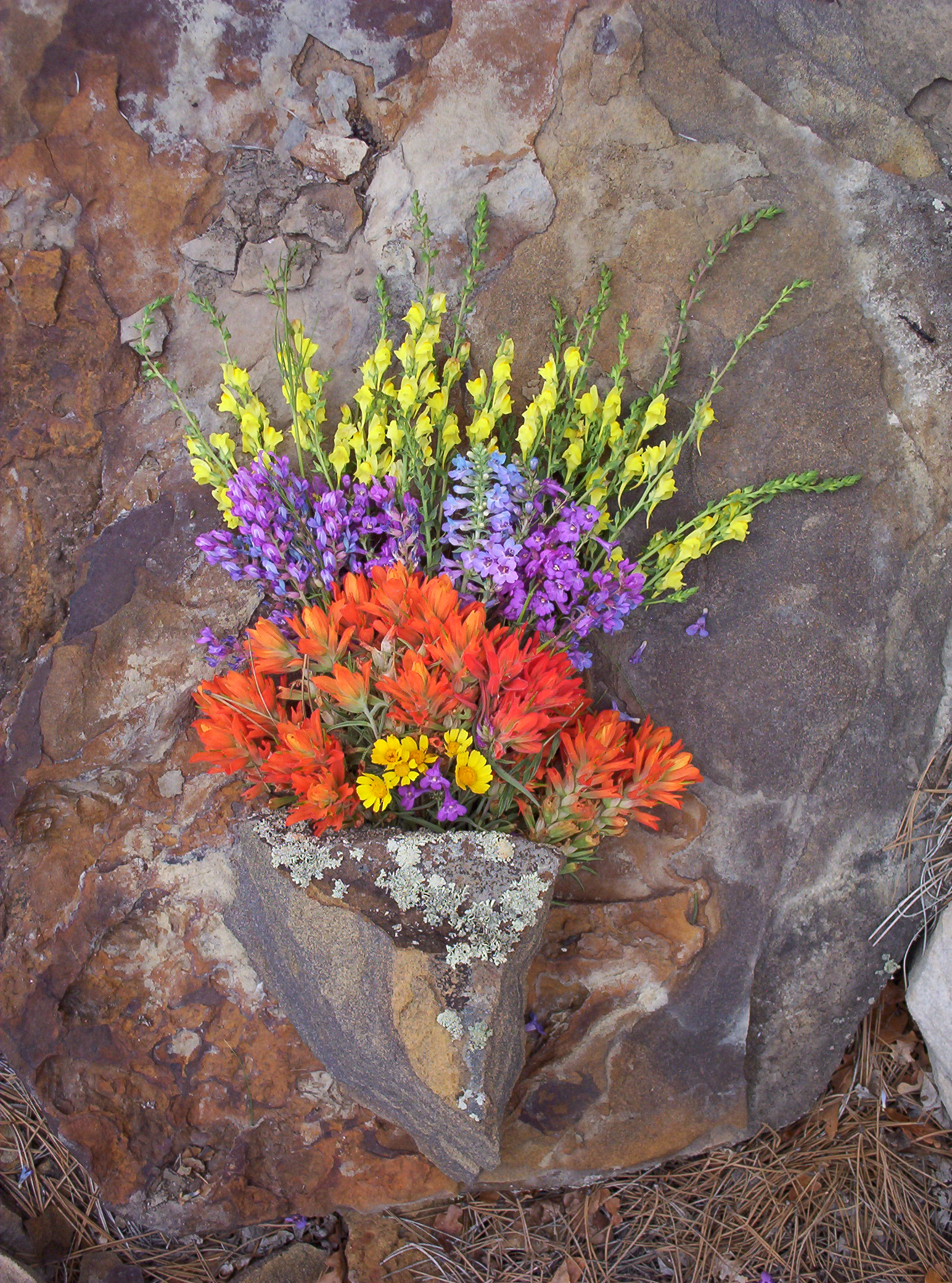 Photography by Spook for DesignCrowd (Community Contests) | Design #9141486