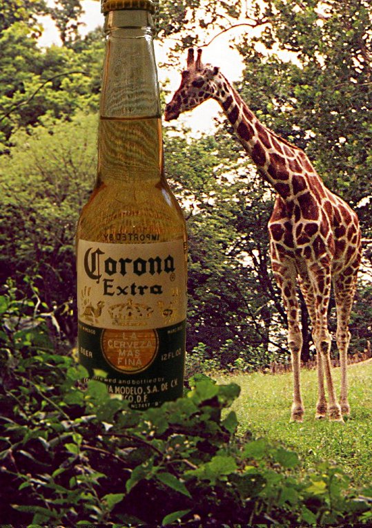 Photoshop-Design von shy_scientist für DesignCrowd (Community Contests) | Design #9141682