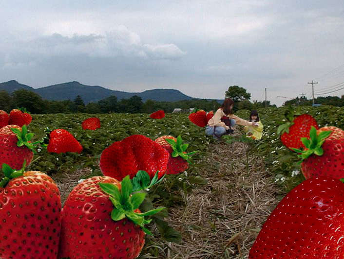 Diseño de Photoshop por typingmonkey para DesignCrowd (Community Contests) | Diseño #9141697