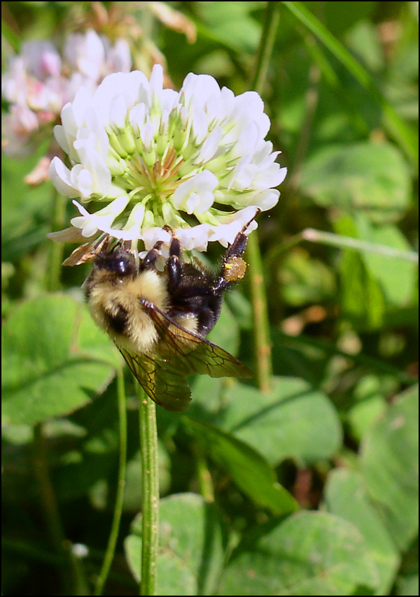 Photography by Philbert for DesignCrowd (Community Contests) | Design #9143654