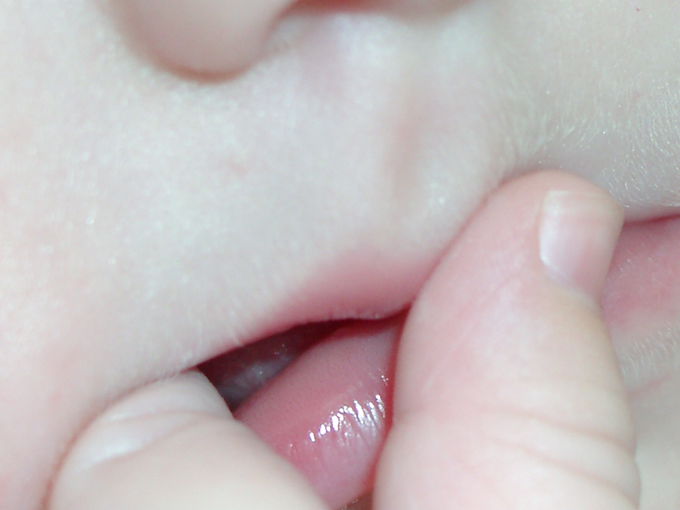 Photography by firebud1 for DesignCrowd (Community Contests) | Design #9128145