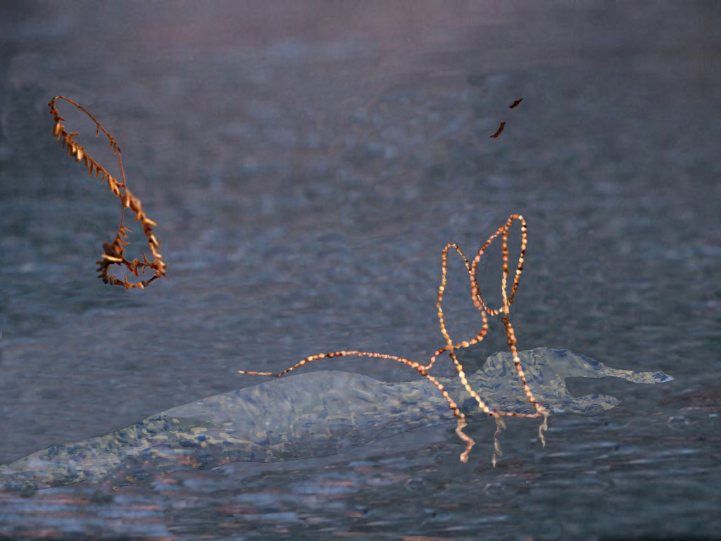 Photoshop Design by Ipkiss for DesignCrowd (Community Contests) | Design #9127375