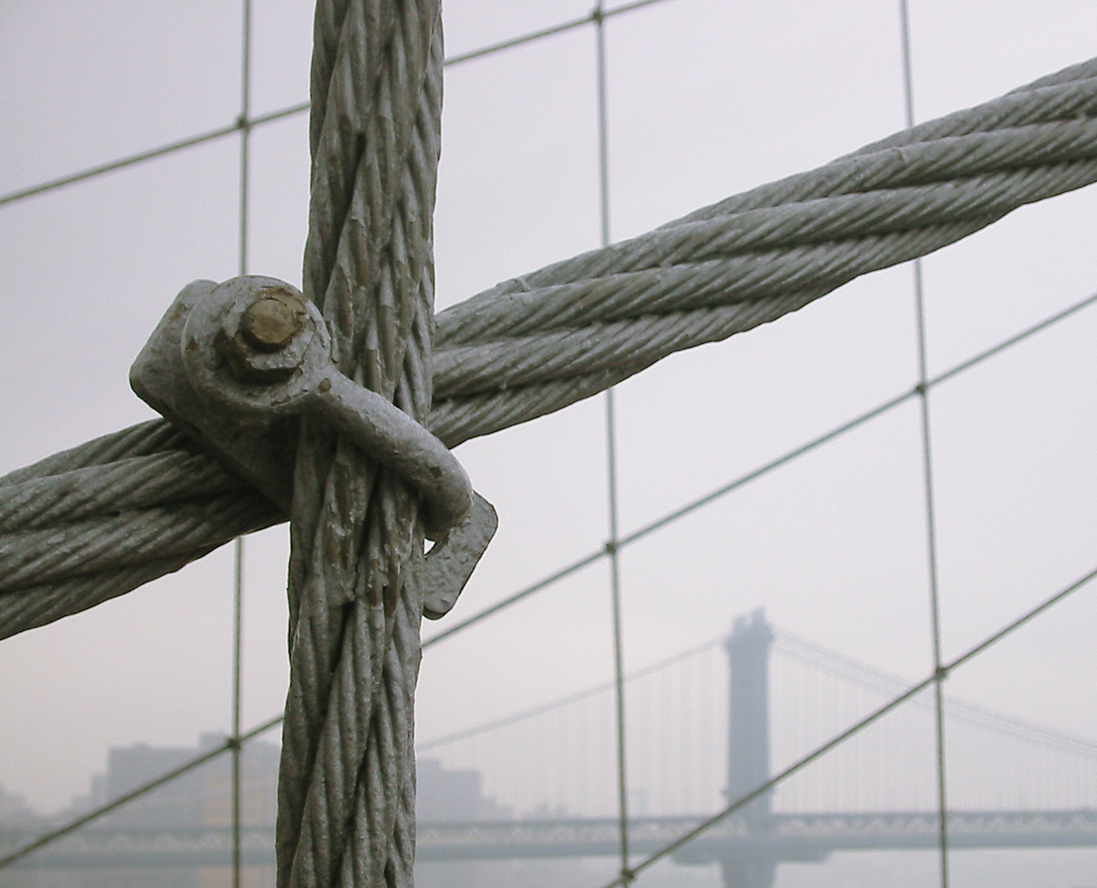 Photography by PeterSealy for DesignCrowd (Community Contests) | Design #9138470