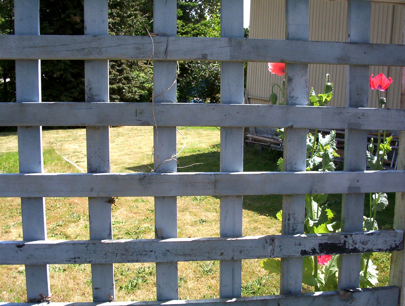 Photographie par Matoogs pour DesignCrowd (Community Contests) | Design #9138444