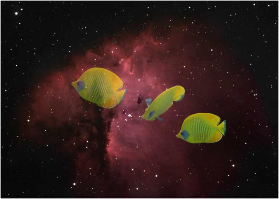 Photoshop Design by Paraguy for DesignCrowd (Community Contests) | Design #9146789