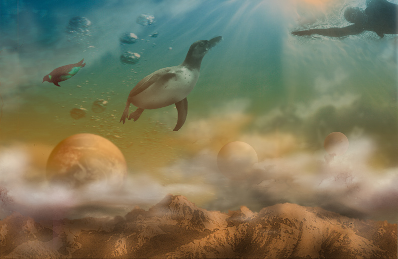 Photoshop Design by DeadElvis for DesignCrowd (Community Contests) | Design #9146779