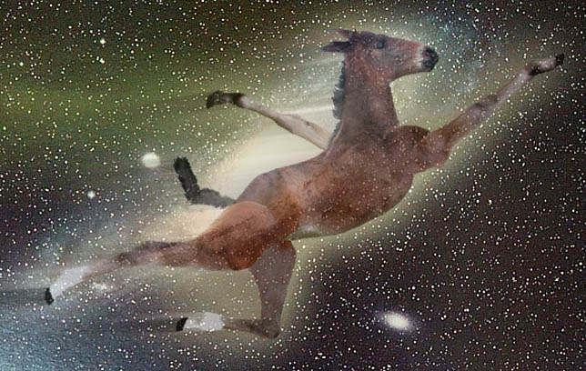 Photoshop-Design von SeanMcQ für DesignCrowd (Community Contests) | Design #9146822