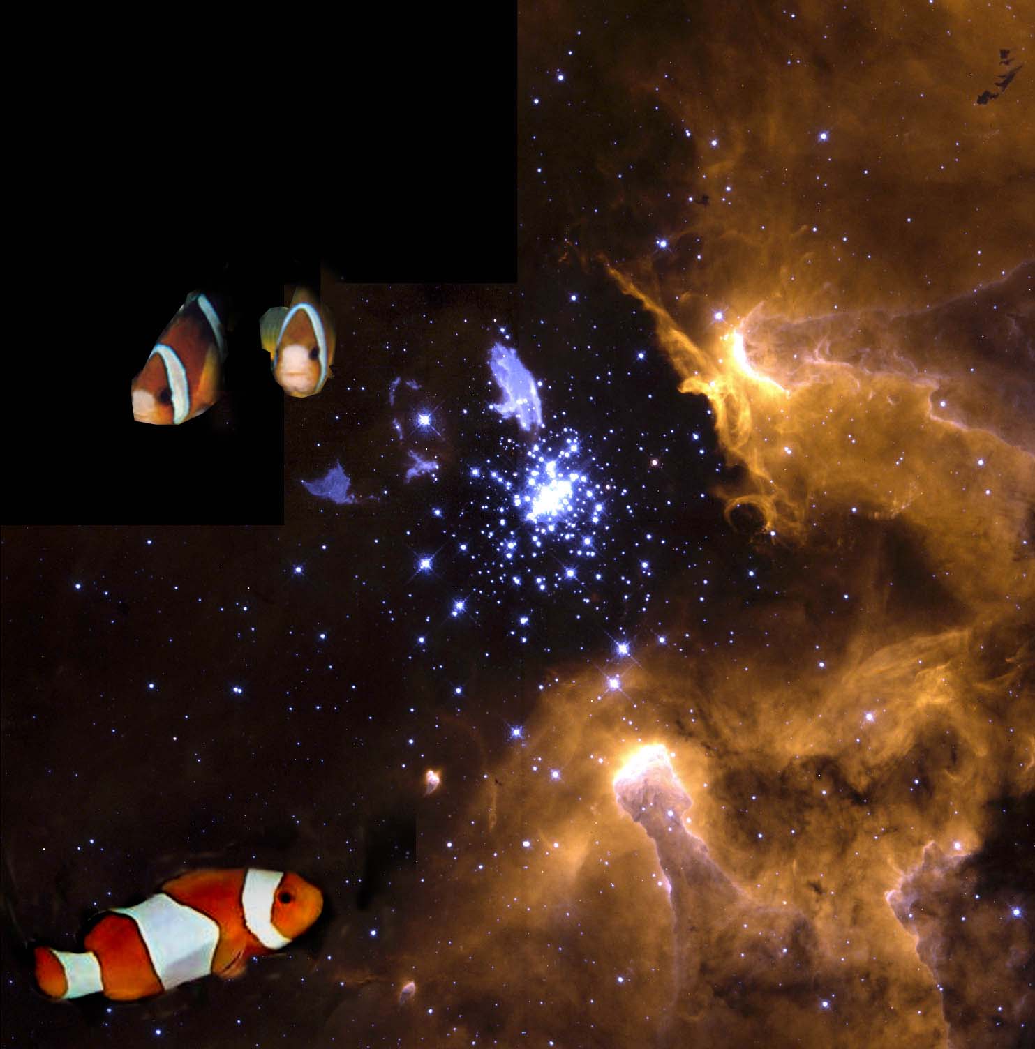 Diseño de Photoshop por Legallyblonde877 para DesignCrowd (Community Contests) | Diseño #9146860