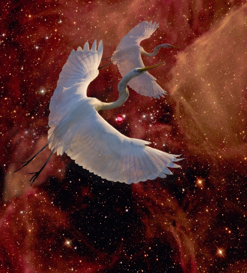 Photoshop-Design von Garsaelon für DesignCrowd (Community Contests) | Design #9146959