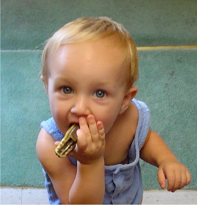 Photography by CrazyMazy for DesignCrowd (Community Contests) | Design #9128395