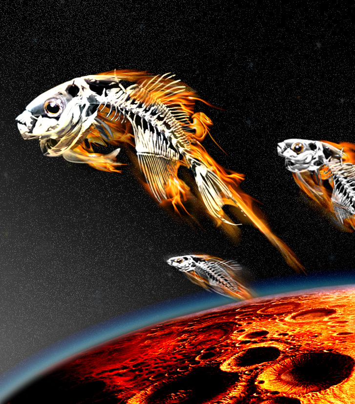 Photoshop Design by claven for DesignCrowd (Community Contests) | Design #9146927