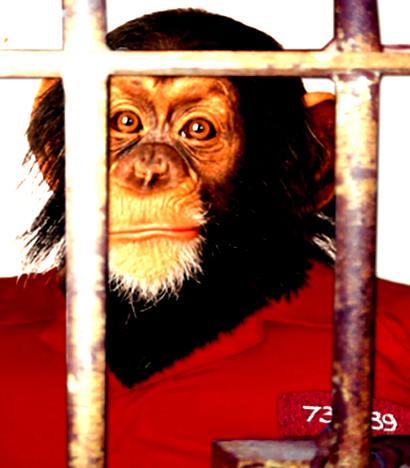 Photoshop Design by Pavel_87_BANNED for DesignCrowd (Community Contests) | Design #9126945