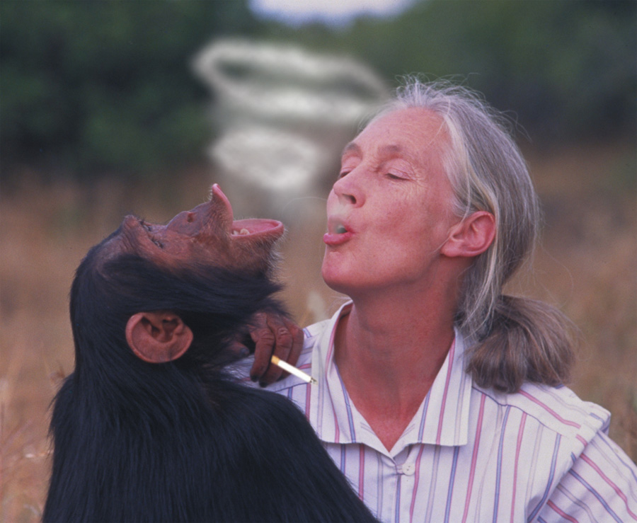 Photoshop-Design von patoloco für DesignCrowd (Community Contests) | Design #9127005