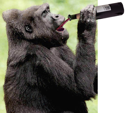 Photoshop Design by Stephie for DesignCrowd (Community Contests) | Design #9126993