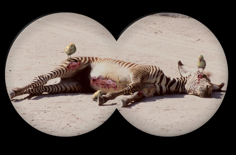 Diseño de Photoshop por TheNomad para DesignCrowd (Community Contests) | Diseño #9127203