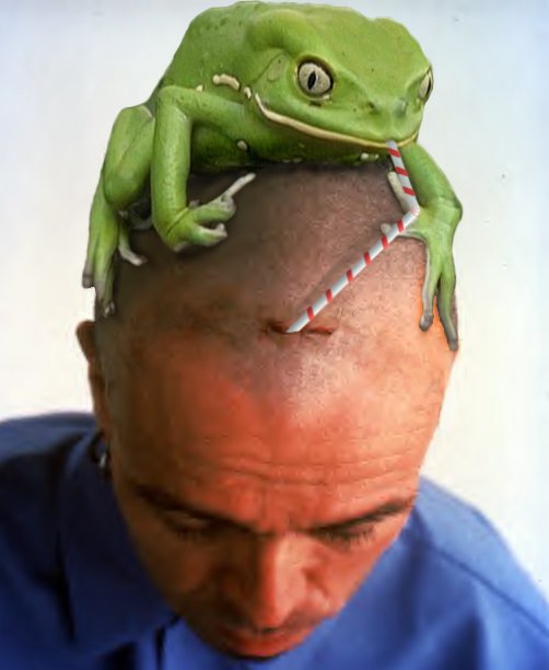 Photoshop Design by Cj for DesignCrowd (Community Contests) | Design #9127044