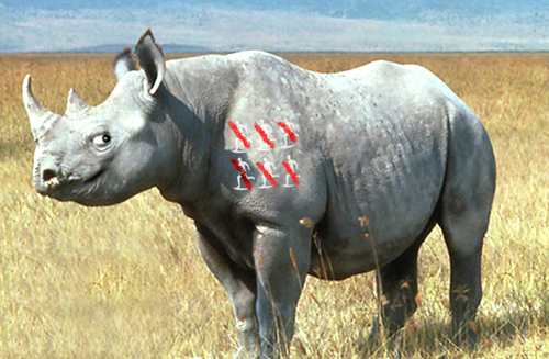 Photoshop-Design von Shrike für DesignCrowd (Community Contests) | Design #9127036