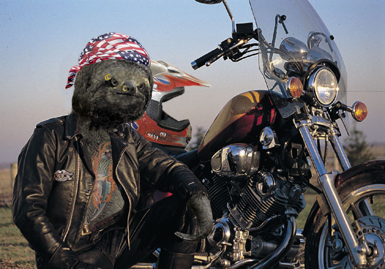 Diseño de Photoshop por mattedesa para DesignCrowd (Community Contests) | Diseño #9127170