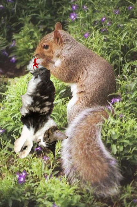 Photoshop Design by Spook for DesignCrowd (Community Contests) | Design #9127060