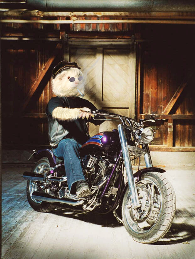 Photoshop Design by Vortex for DesignCrowd (Community Contests) | Design #9127242