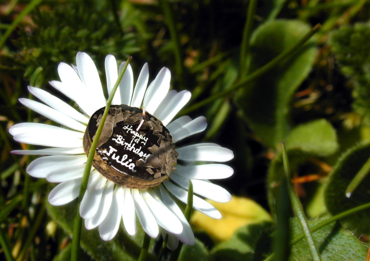 Photoshop Design by Bb for DesignCrowd (Community Contests) | Design #9143016