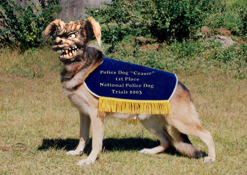 Photoshop-Design von Brass_Elephant für DesignCrowd (Community Contests) | Design #9140680