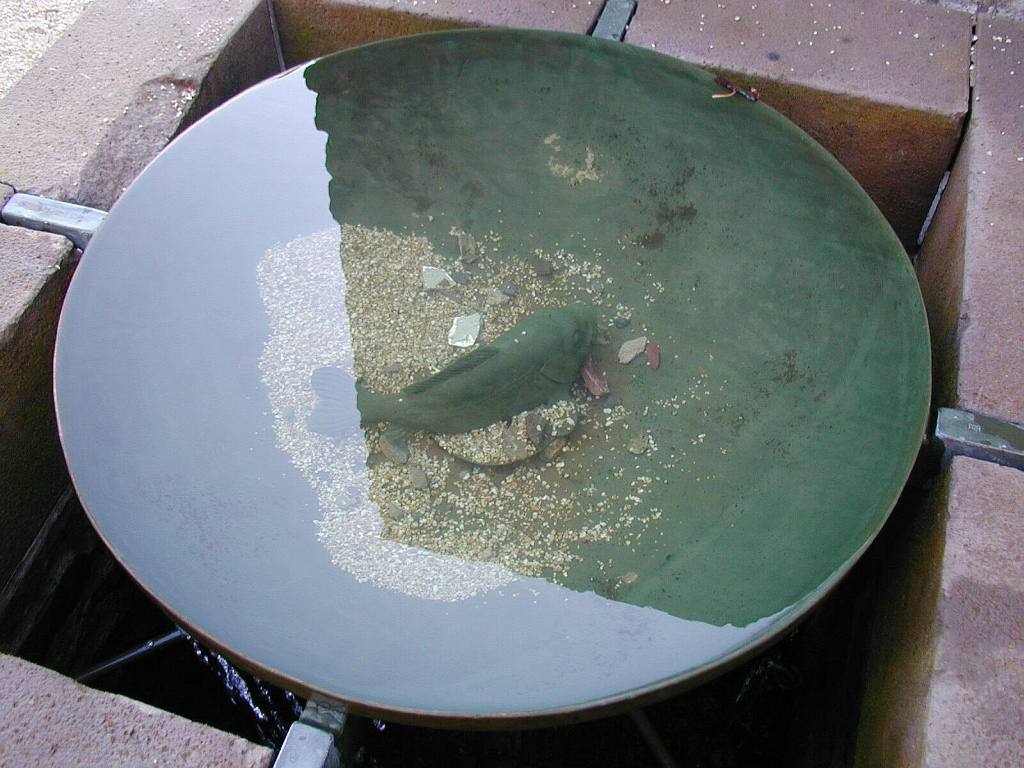 Photography by TyChO for DesignCrowd (Community Contests) | Design #9139975