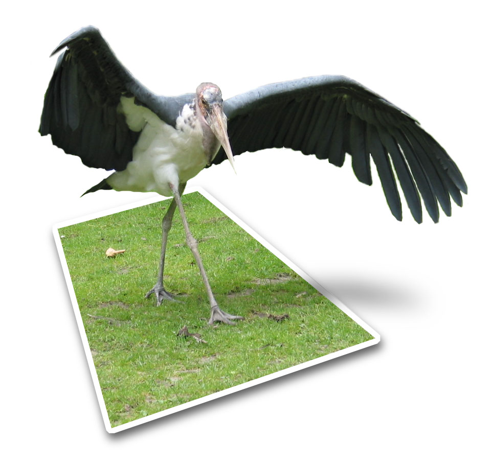 Logo Design by killswtch_BANNED for DesignCrowd (Community Contests) | Design #9141017