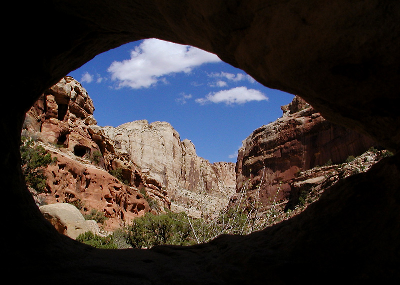 Photography by compugoddess for DesignCrowd (Community Contests) | Design #9139982