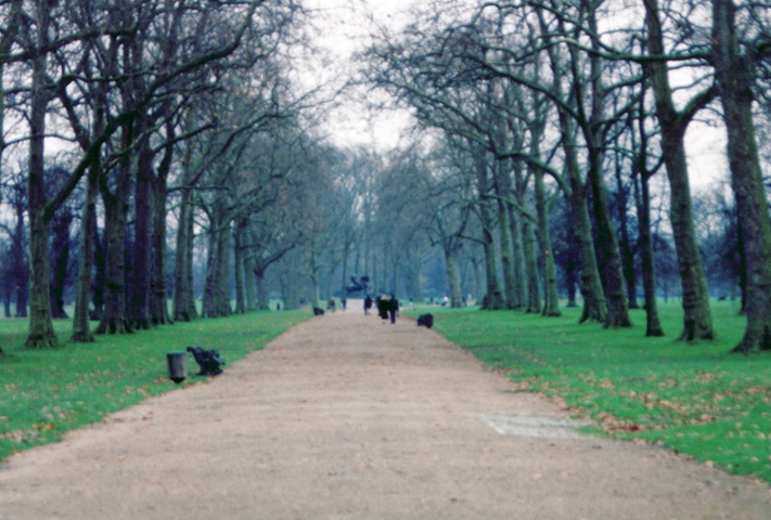 Photographie par DaftGretel pour DesignCrowd (Community Contests) | Design #9139992