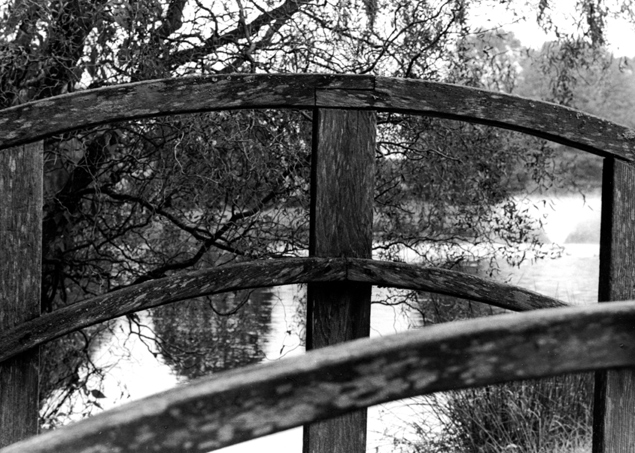 Photography by Mercurius for DesignCrowd (Community Contests) | Design #9140001