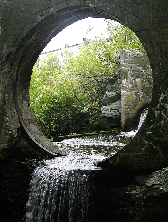 Photography by OneHappyFemale for DesignCrowd (Community Contests) | Design #9140006