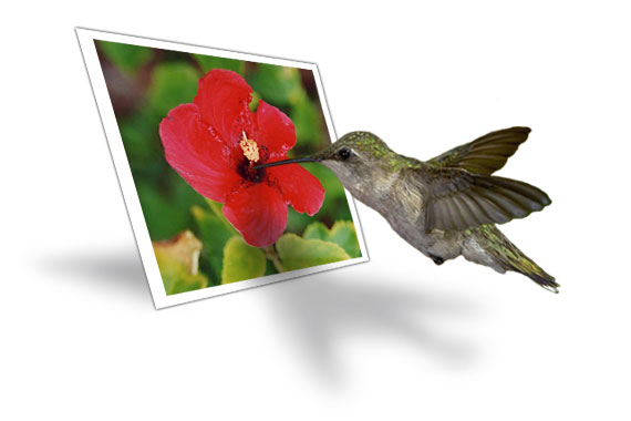 Logo Design by cempson for DesignCrowd (Community Contests) | Design #9141019