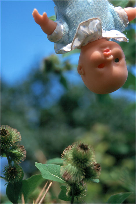 Photography by Six-Something for DesignCrowd (Community Contests) | Design #9145547