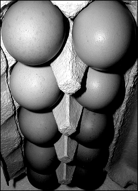 Photography by FastLane for DesignCrowd (Community Contests) | Design #9145535