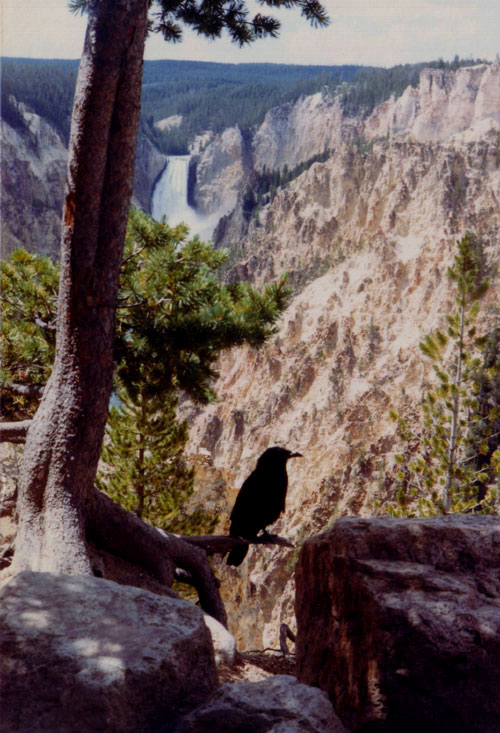 Photography by MPolgara for DesignCrowd (Community Contests) | Design #9140015