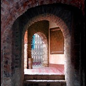 Photography by branie