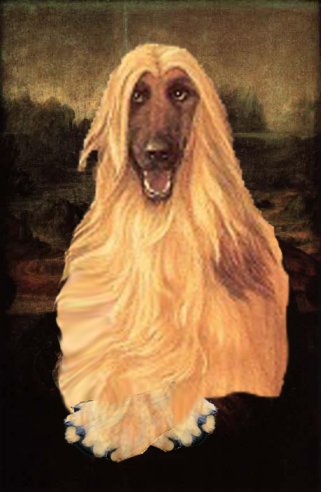 Photoshop Design by mytwocents for DesignCrowd (Community Contests) | Design #9140924