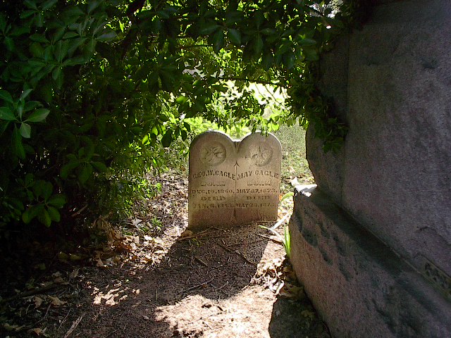 Photography by N2framing for DesignCrowd (Community Contests) | Design #9140011