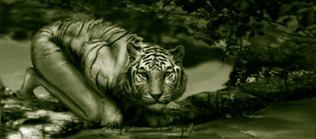 Photoshop Design by saylee for DesignCrowd (Community Contests) | Design #9126254