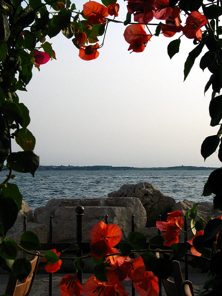 Fotografía por OR para DesignCrowd (Community Contests) | Diseño #9140121