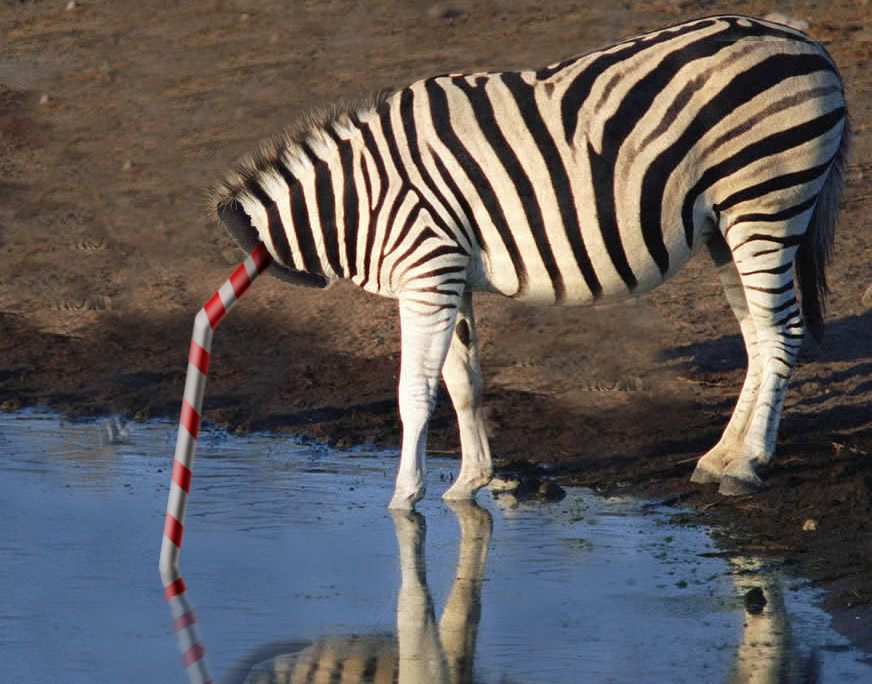 Photoshop-Design von hipnoart für DesignCrowd (Community Contests) | Design #9142308